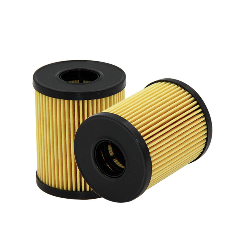 Auto Spare Parts Engine Oil Filter 10132010-B01 China Manufacturer