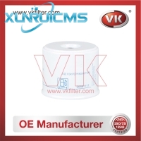 26561117 Fuel Filter - Direct Replacement for 1909100 | VK OEM Fit