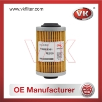 PE2129 OtherFilter - Direct Replacement for PE2129 | VK OEM Fit