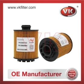 1612565980 OtherFilter - Direct Replacement for 1612565980 | VK OEM Fit